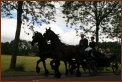 935 Willy & Gerard 103 Met de Koets